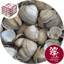 Sea Shells - Whole Cockle - 8930